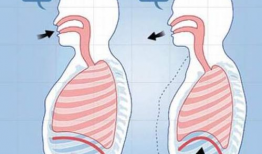 腹式呼吸视频,轻松入门与益处全解析